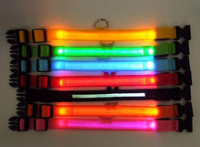 Load image into Gallery viewer, LED Glow Dog Collar Offer