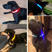 Load image into Gallery viewer, LED Glow Dog Collar Offer