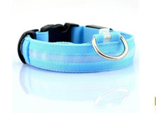 Load image into Gallery viewer, LED Glow Dog Collar Offer