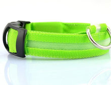 Load image into Gallery viewer, LED Glow Dog Collar Offer