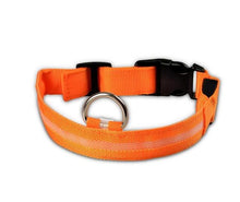 Load image into Gallery viewer, LED Glow Dog Collar Offer