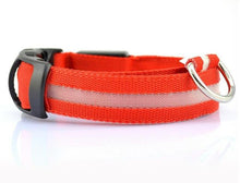 Load image into Gallery viewer, LED Glow Dog Collar Offer