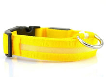 Load image into Gallery viewer, LED Glow Dog Collar Offer