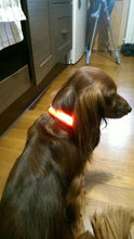 Load image into Gallery viewer, LED Glow Dog Collar Offer