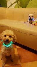 Load image into Gallery viewer, LED Glow Dog Collar Offer