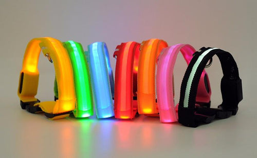 LED Glow Dog Collar Offer