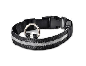LED Glow Dog Collar Offer