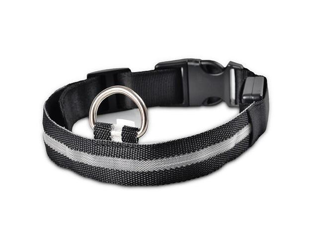 LED Glow Dog Collar Offer