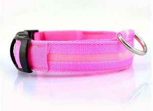 LED Glow Dog Collar Offer