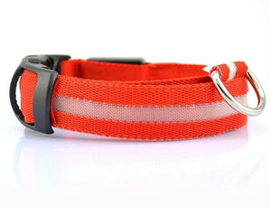 LED Glow Dog Collar Offer