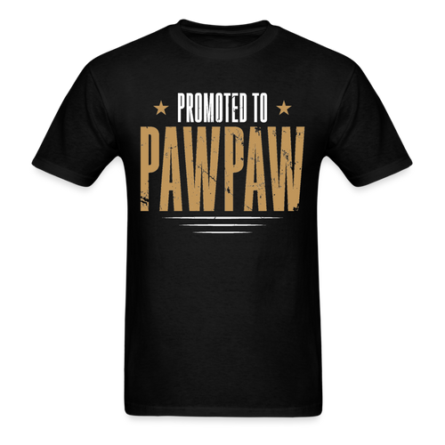 Promoted To Pawpaw - Father's Day Shirts Men, Birthday T Shirts, Summer Tops, Beach T Shirts - black