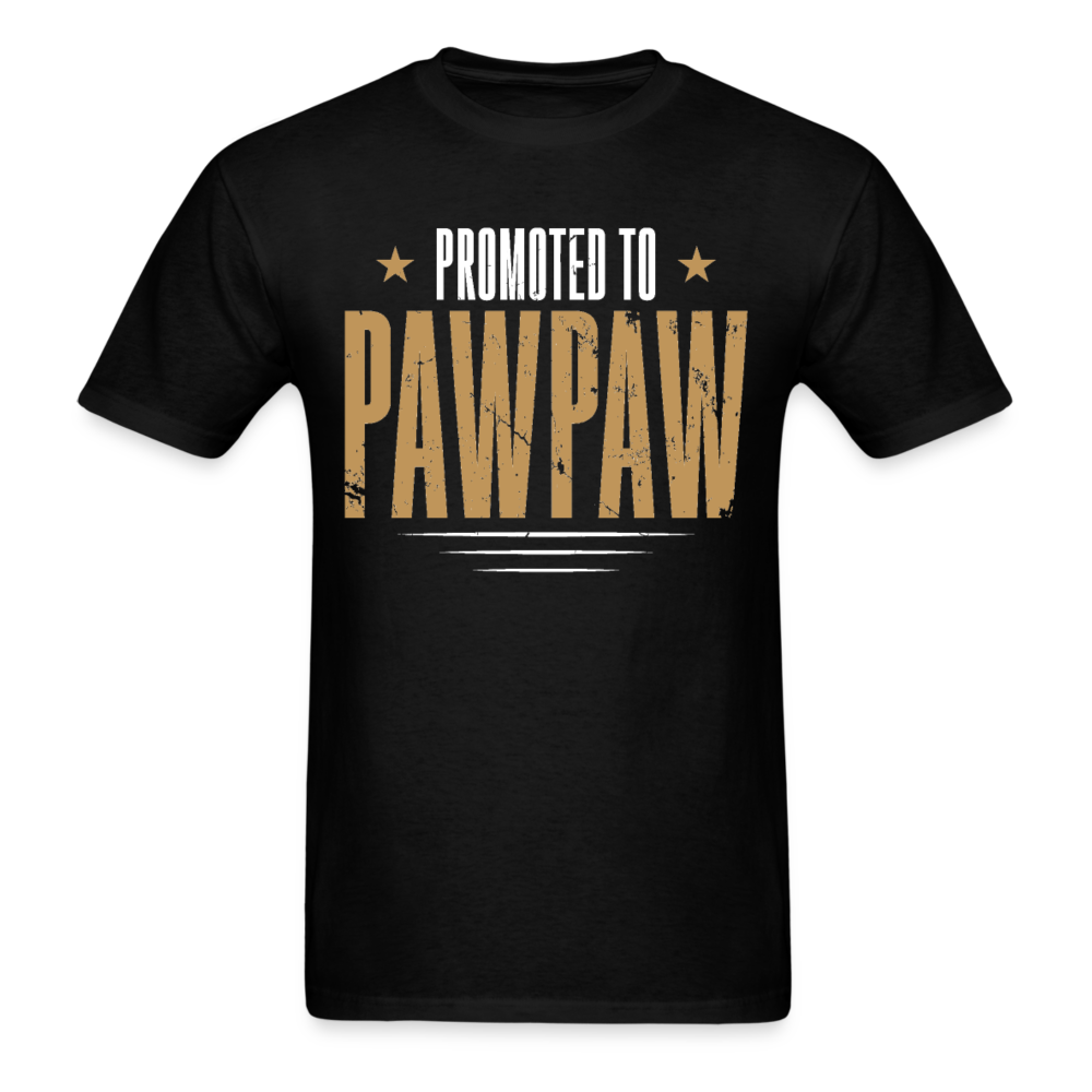 Promoted To Pawpaw - Father's Day Shirts Men, Birthday T Shirts, Summer Tops, Beach T Shirts - black